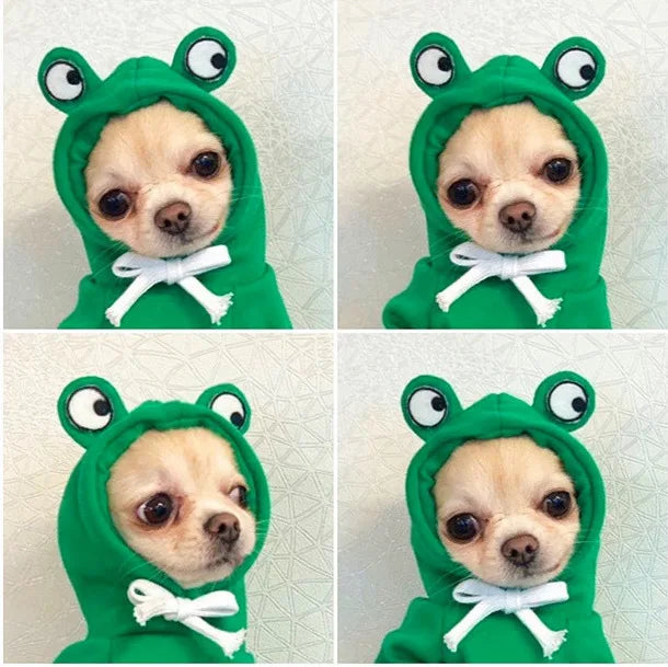 Cute Cartoon Fruit Frog Banana Carrot Pet Hoodie, Winter Warm Fleece Dog Clothes, Funny Cosplay Costume for Small Puppy Cat, Outfit for Chihuahua French Bulldog