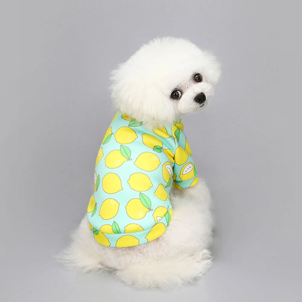 Dog Sweaters Pet Clothes 4 Pack Soft Warm Pet Hoodies Sweatshirt for Small Doggies Boy & Girl Pet Apparel Puppy Costumes Outfits