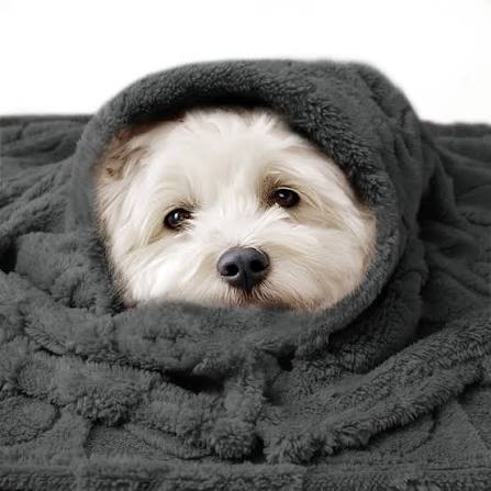 Blankets