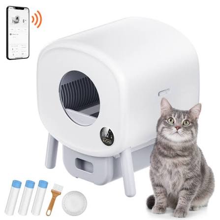 Potty Essentials