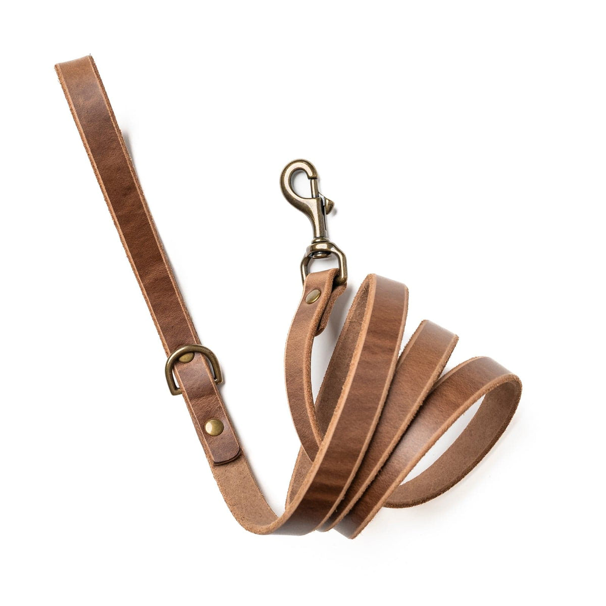 Collars, Leashes and Harnesses