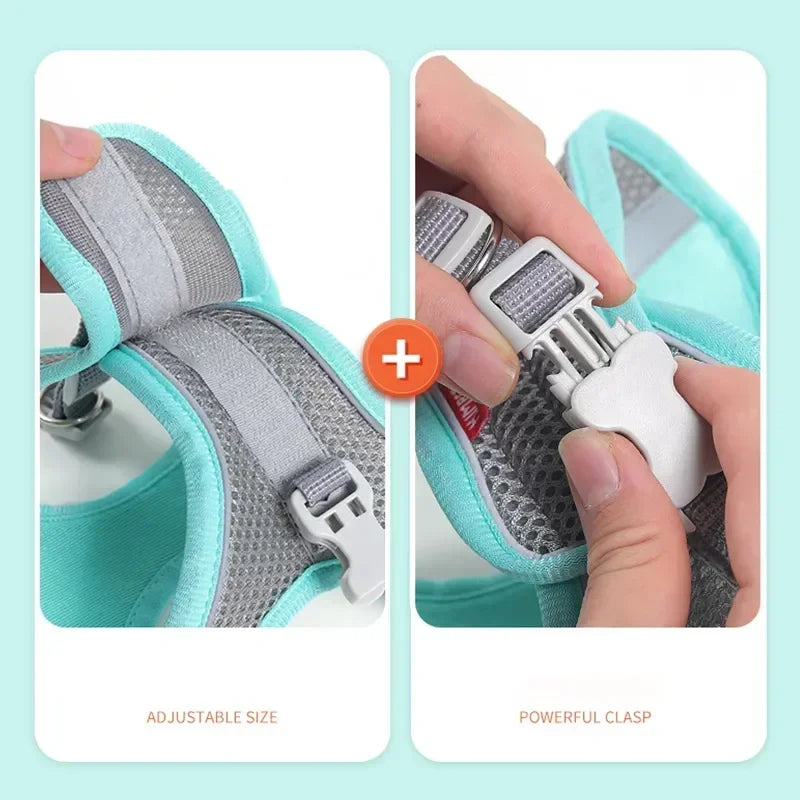 Cat Harness & Leash Set, Adjustable Escape-Proof Breathable Summer Mesh Vest, Outdoor Walking Kitten, Night Reflective
