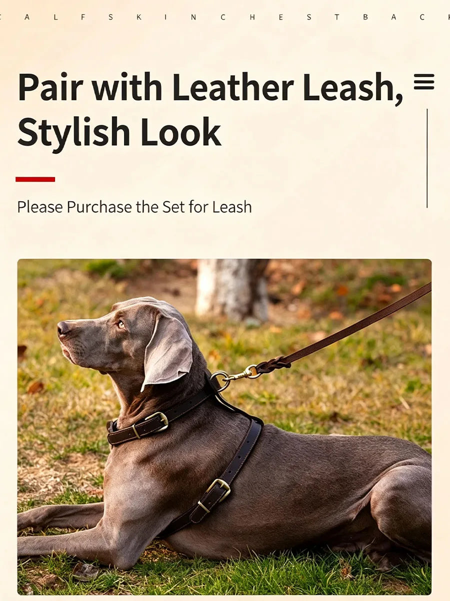 Top Cowhide Leather Dog Harness Adjustable Heavy Duty Pet Walking Harness No Pull Handcrafted Sturdy Vest for Medium Large Dogs