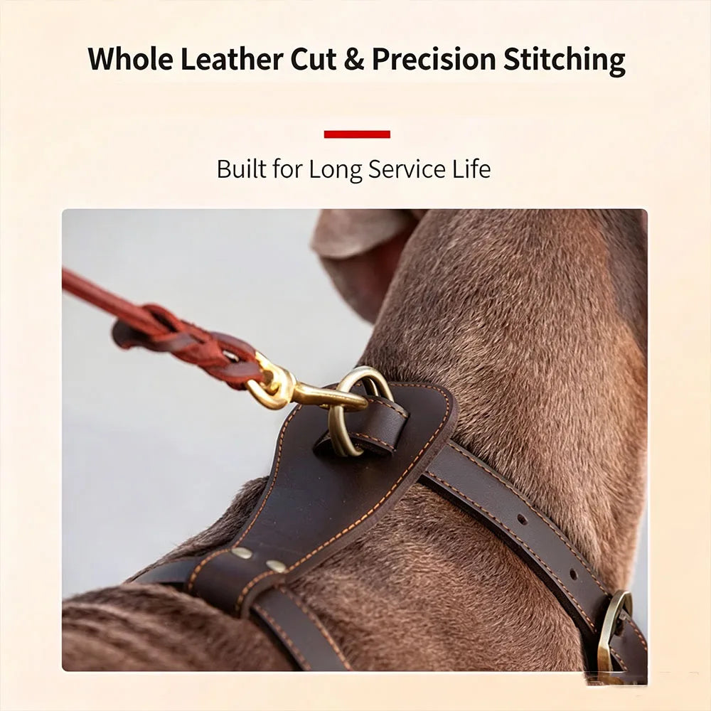 Top Cowhide Leather Dog Harness Adjustable Heavy Duty Pet Walking Harness No Pull Handcrafted Sturdy Vest for Medium Large Dogs