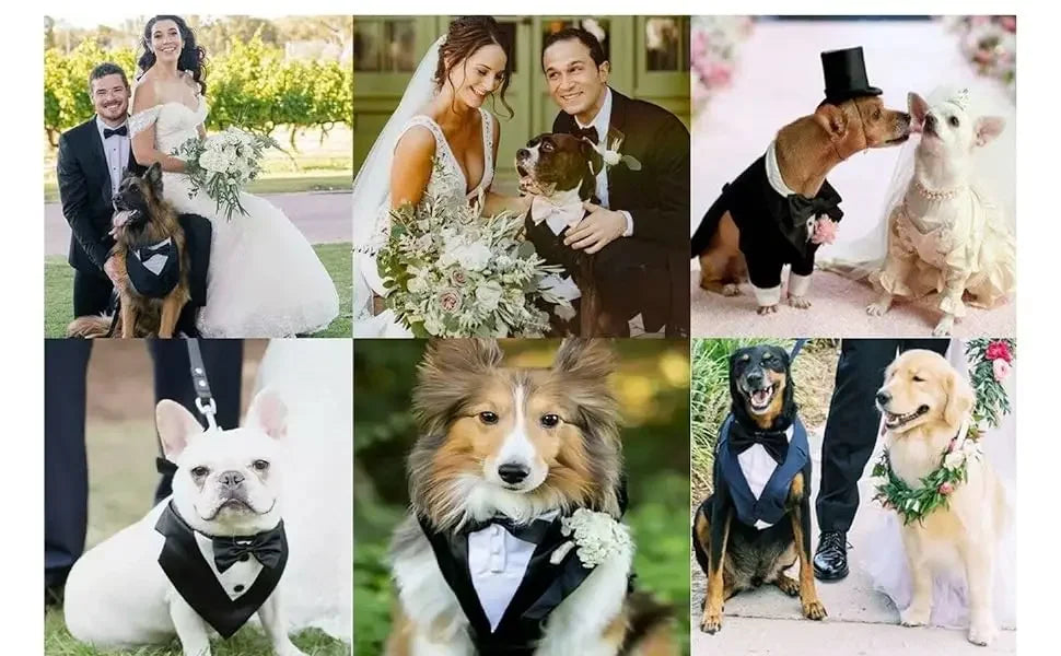 Dog costume large dog tuxedo with detachable,dog wedding costume suitable for large and medium dogs,golden retrievers, labradors