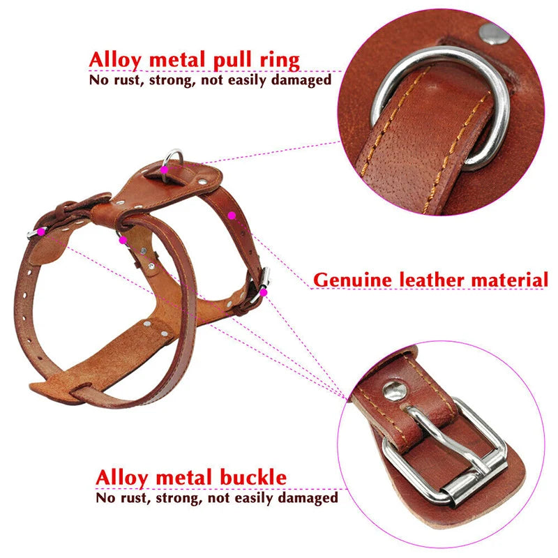 Genuine Leather Dog Cat Harness Brown Real Leather Dogs Walking Training Vest Adjustable Straps Durable Harnesses for Dogs