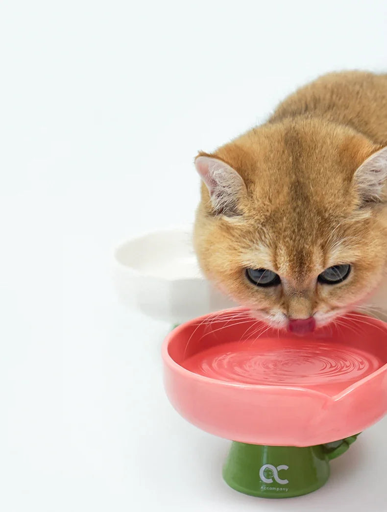 Tulip Shaped Elevated Ceramic Cat Bowl, Raised Pet Food Water Bowl for Cats, Anti-Vomiting Kitten Feeder