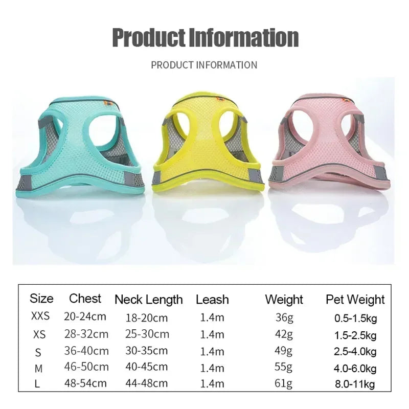 Cat Harness & Leash Set, Adjustable Escape-Proof Breathable Summer Mesh Vest, Outdoor Walking Kitten, Night Reflective