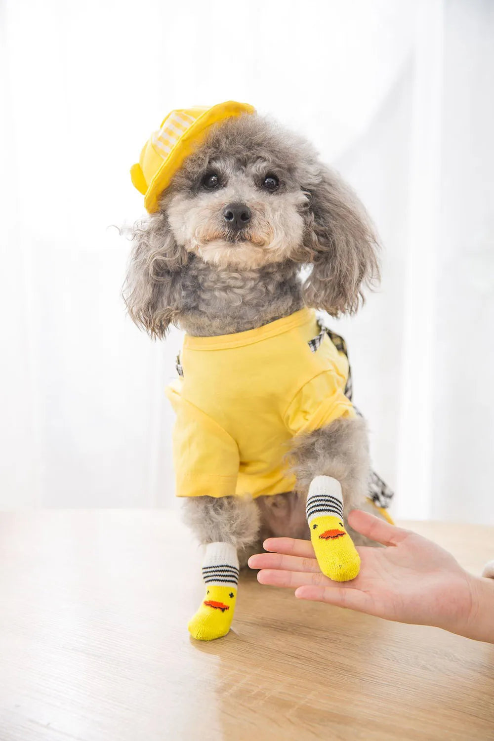 Dog Socks for Small Medium Dogs Non Skid Pet Puppy Grip Socks Paw Protectors Indoor Traction Control Socks for Hardwood Floor