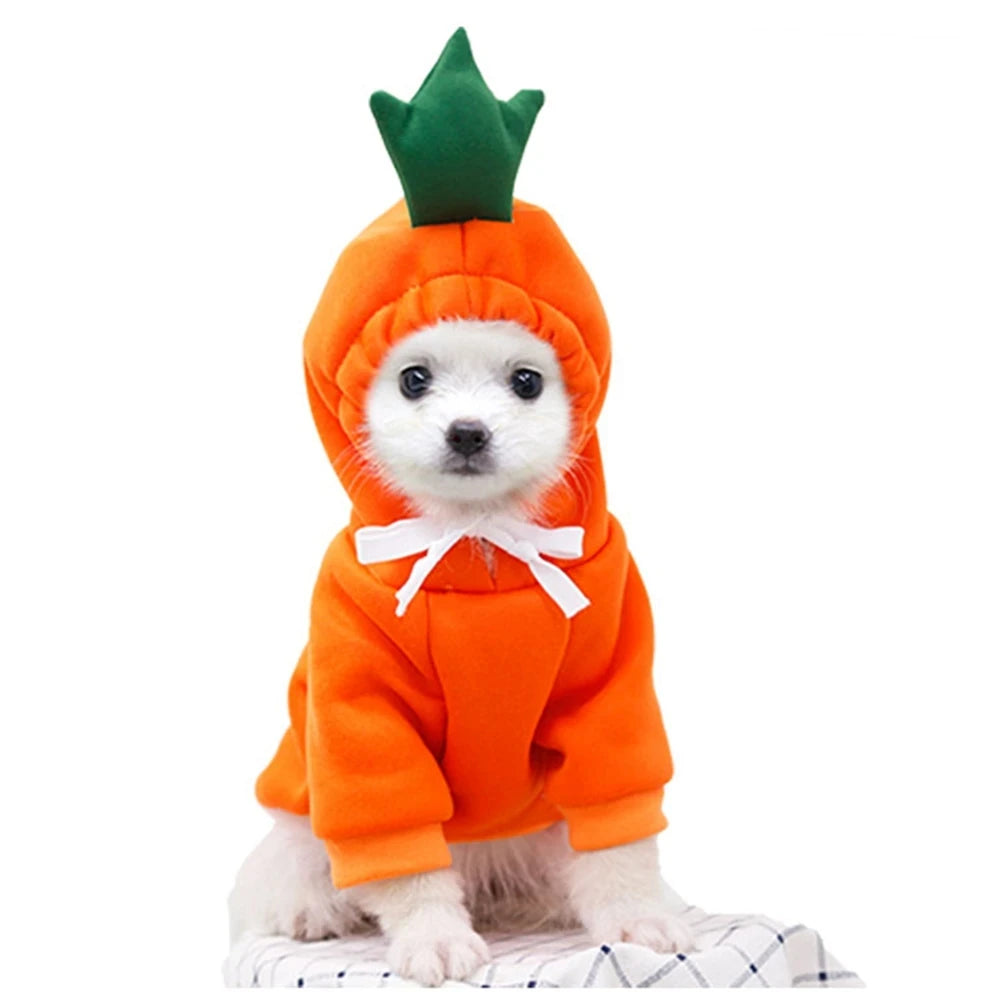 Cute Cartoon Fruit Frog Banana Carrot Pet Hoodie, Winter Warm Fleece Dog Clothes, Funny Cosplay Costume for Small Puppy Cat, Outfit for Chihuahua French Bulldog