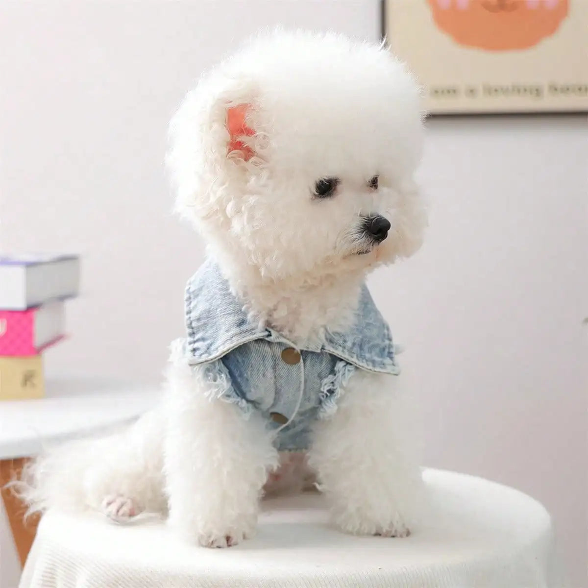 Dog Jean Jacket With Traction Buckle Casual Stylish Solid Color Snap Button Down Cute Denim Dog Shirt