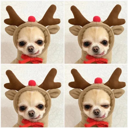Cute Cartoon Fruit Frog Banana Carrot Pet Hoodie, Winter Warm Fleece Dog Clothes, Funny Cosplay Costume for Small Puppy Cat, Outfit for Chihuahua French Bulldog