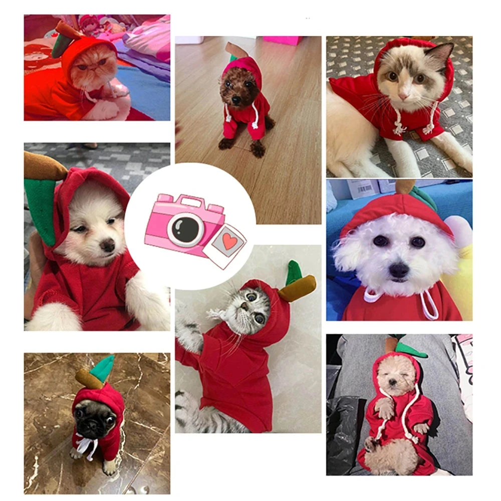 Cute Cartoon Fruit Frog Banana Carrot Pet Hoodie, Winter Warm Fleece Dog Clothes, Funny Cosplay Costume for Small Puppy Cat, Outfit for Chihuahua French Bulldog