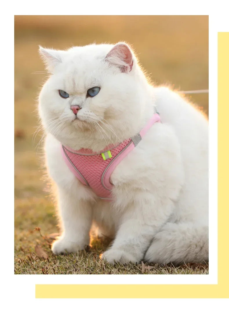 Cat Harness & Leash Set, Adjustable Escape-Proof Breathable Summer Mesh Vest, Outdoor Walking Kitten, Night Reflective