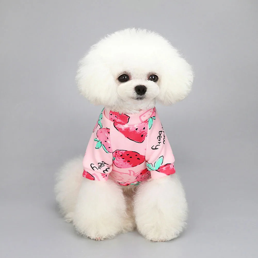 Dog Sweaters Pet Clothes 4 Pack Soft Warm Pet Hoodies Sweatshirt for Small Doggies Boy & Girl Pet Apparel Puppy Costumes Outfits