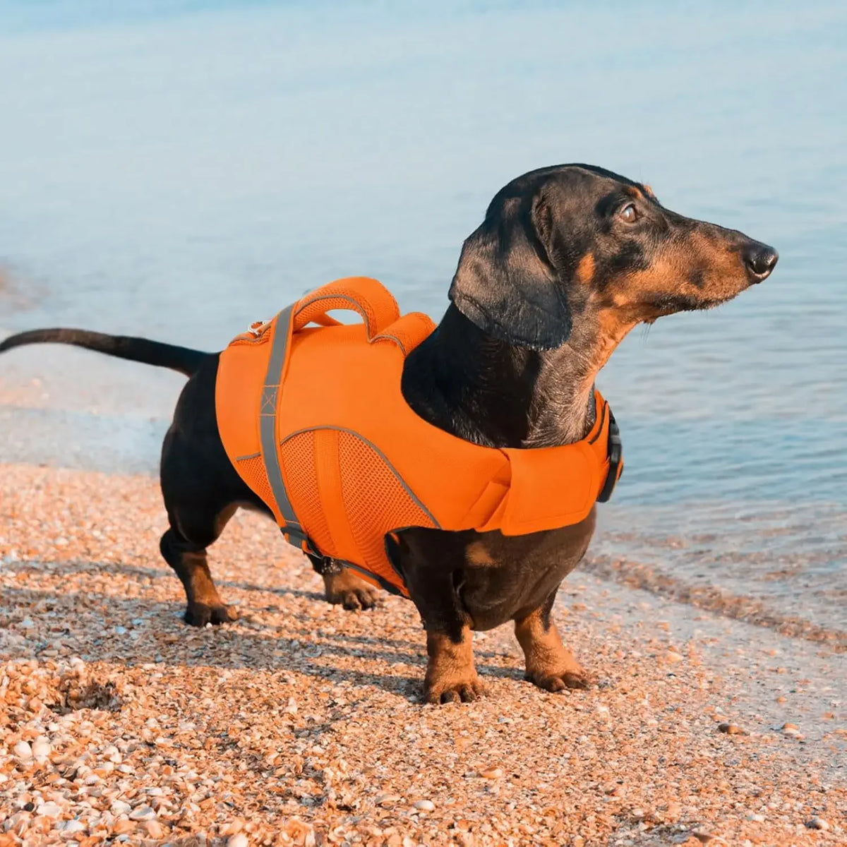 Durable Mesh Dog Life Jacket Tear-Resistant High Buoyancy Pet Vest with Ergonomics Rescue Handle Reflective--Rough water Boating
