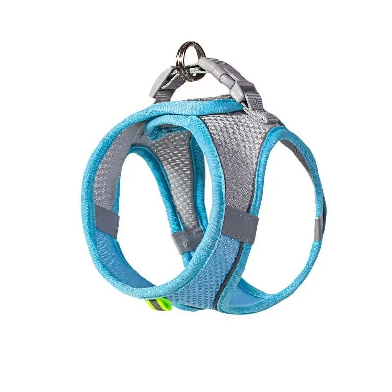 Cat Harness & Leash Set, Adjustable Escape-Proof Breathable Summer Mesh Vest, Outdoor Walking Kitten, Night Reflective