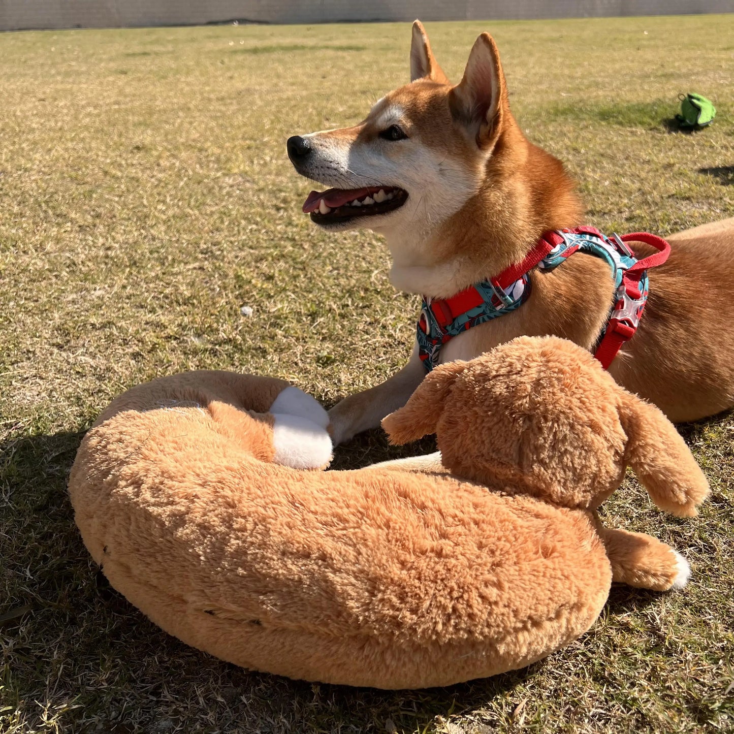 Curved Pillow Dog Heartbeat Toy for Comfort And Behavioral Training Heartbeat Stuffed Toy for Dogs And Cats