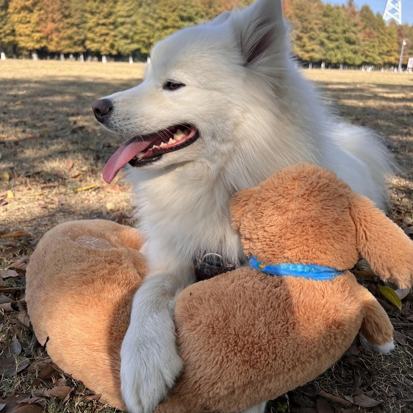 Curved Pillow Dog Heartbeat Toy for Comfort And Behavioral Training Heartbeat Stuffed Toy for Dogs And Cats