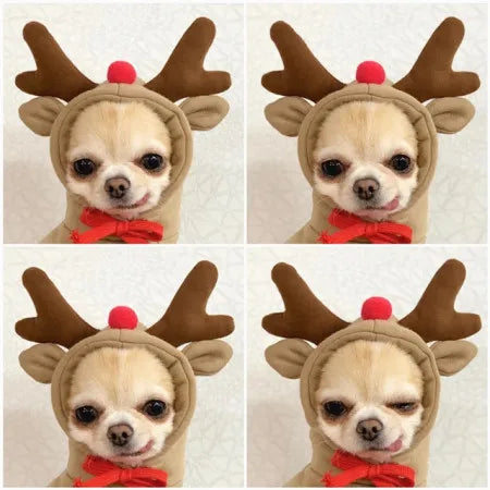 Cute Cartoon Fruit Frog Banana Carrot Pet Hoodie, Winter Warm Fleece Dog Clothes, Funny Cosplay Costume for Small Puppy Cat, Outfit for Chihuahua French Bulldog