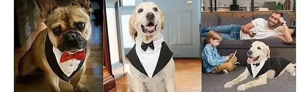 Dog costume large dog tuxedo with detachable,dog wedding costume suitable for large and medium dogs,golden retrievers, labradors