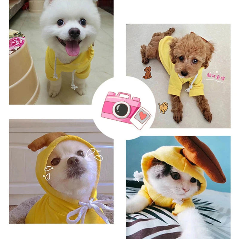Cute Cartoon Fruit Frog Banana Carrot Pet Hoodie, Winter Warm Fleece Dog Clothes, Funny Cosplay Costume for Small Puppy Cat, Outfit for Chihuahua French Bulldog
