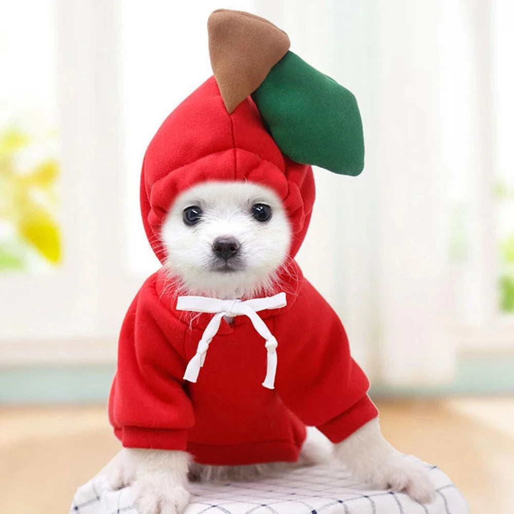 Cute Cartoon Fruit Frog Banana Carrot Pet Hoodie, Winter Warm Fleece Dog Clothes, Funny Cosplay Costume for Small Puppy Cat, Outfit for Chihuahua French Bulldog