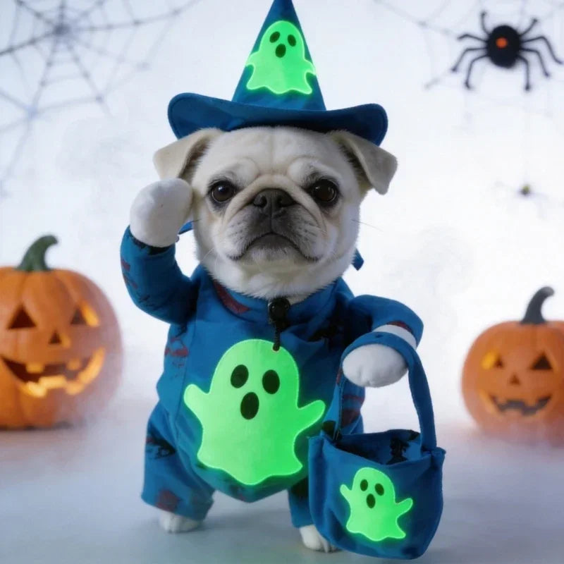 Blue Ghost Pointed Cap Costume Set for Dogs & Cats, Halloween Party, Seasonal Photo Styling, Soft Fabric, Easy Wear