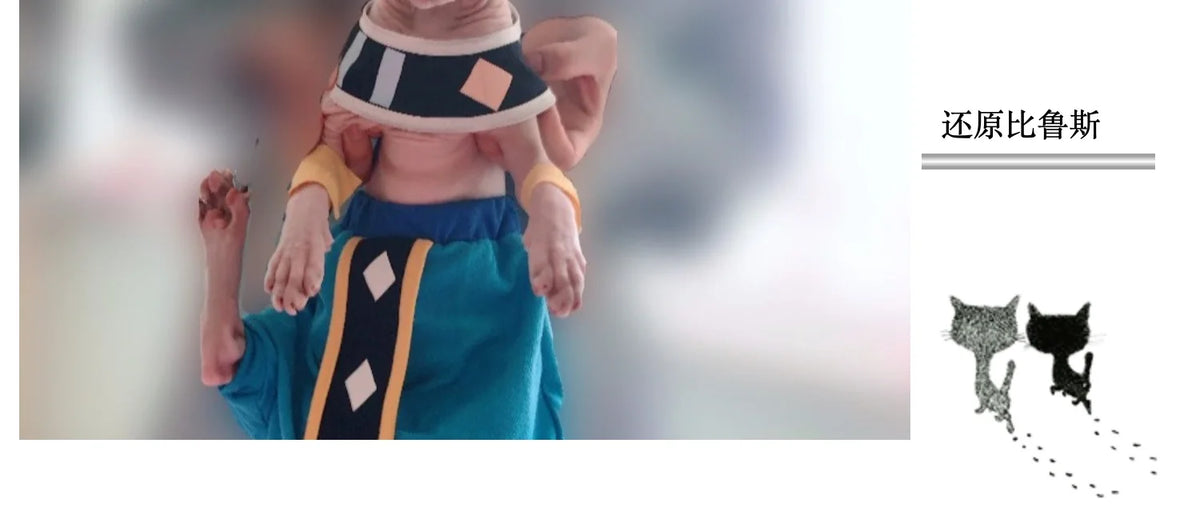 Handmade Sphinx Cosplay Costumes Hairless Cat Clothes God of Destruction Crotch-Proof Trousers Dropshipping Cat Clothes