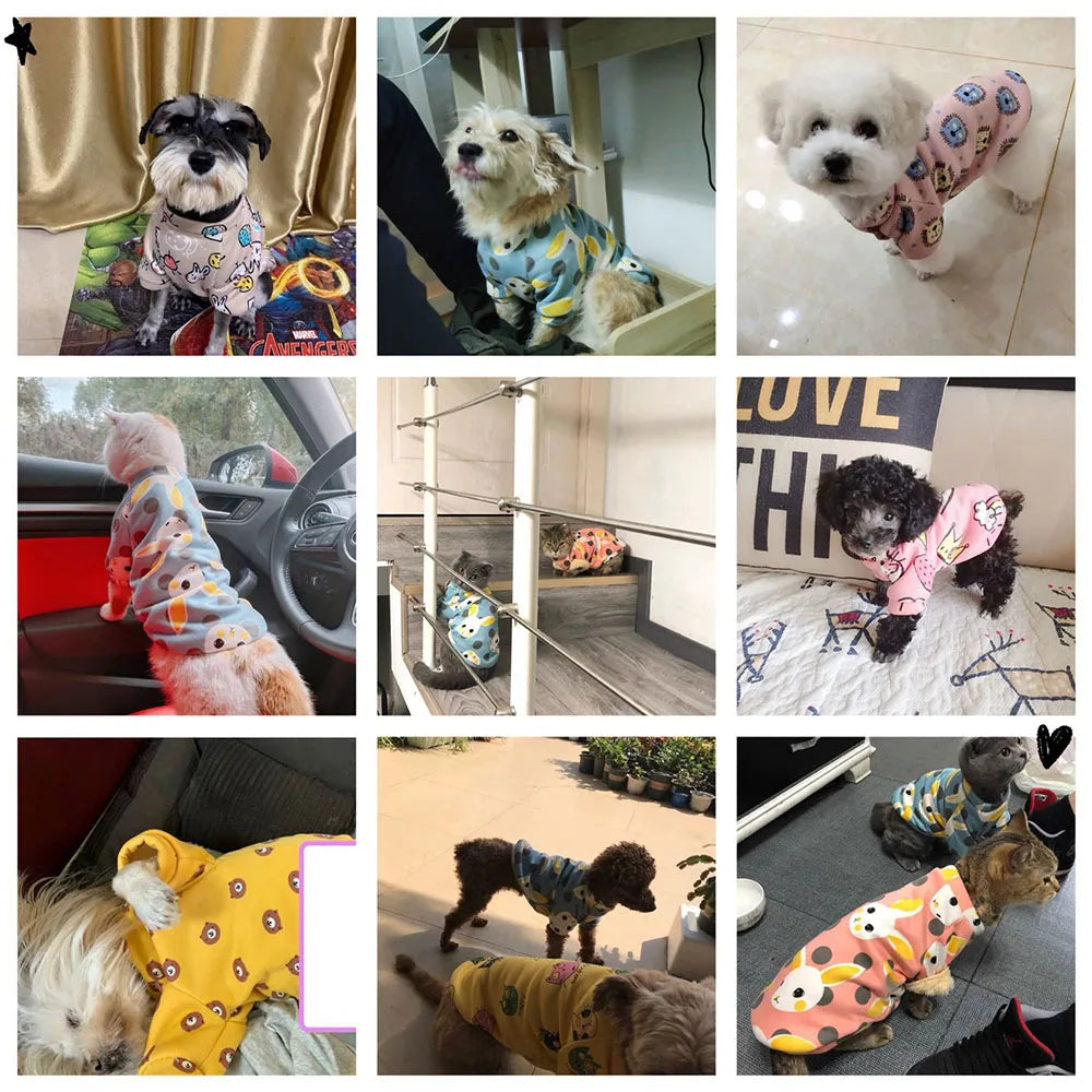 Dog Sweaters Pet Clothes 4 Pack Soft Warm Pet Hoodies Sweatshirt for Small Doggies Boy & Girl Pet Apparel Puppy Costumes Outfits
