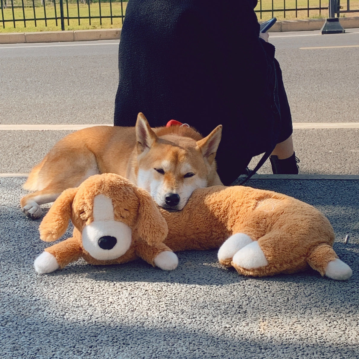 Curved Pillow Dog Heartbeat Toy for Comfort And Behavioral Training Heartbeat Stuffed Toy for Dogs And Cats