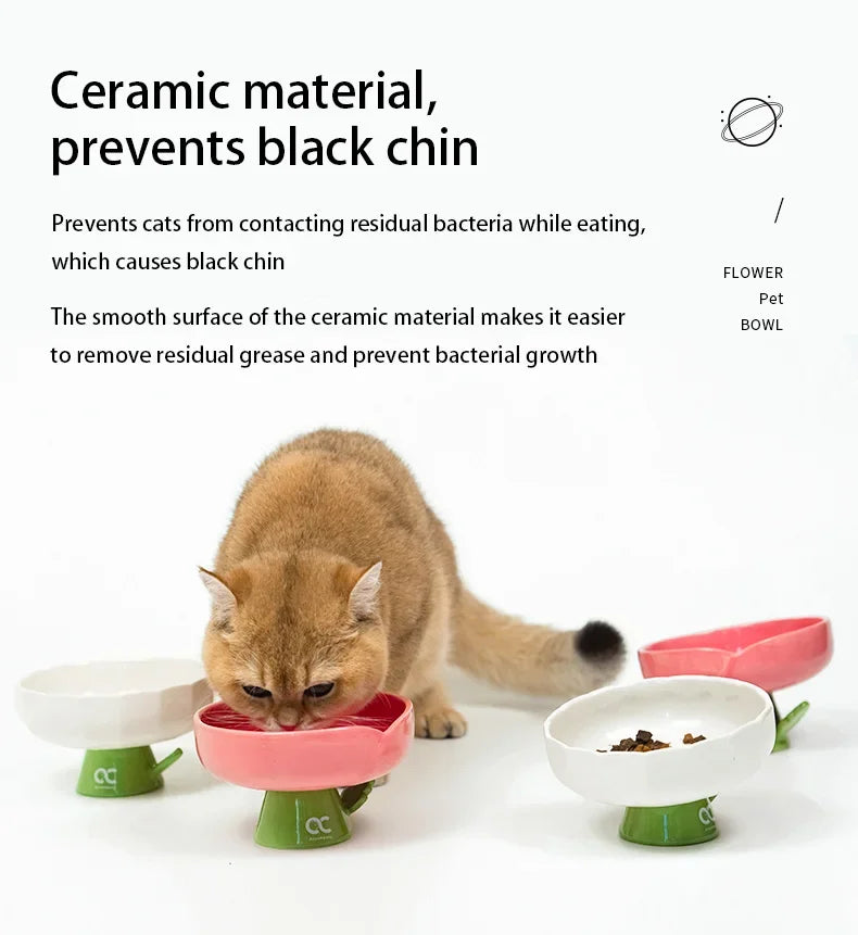 Daisy Elevated Ceramic Cat Bowl 2.0, Slanted Rim Raised Pet Dish, Glossy Glaze Food & Water Bowl for Indoor Cats