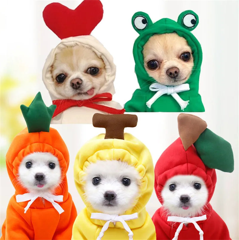 Cute Cartoon Fruit Frog Banana Carrot Pet Hoodie, Winter Warm Fleece Dog Clothes, Funny Cosplay Costume for Small Puppy Cat, Outfit for Chihuahua French Bulldog