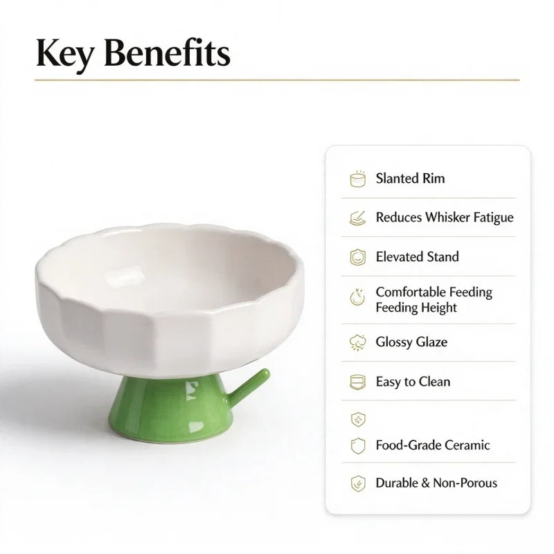 Daisy Elevated Ceramic Cat Bowl 2.0, Slanted Rim Raised Pet Dish, Glossy Glaze Food & Water Bowl for Indoor Cats
