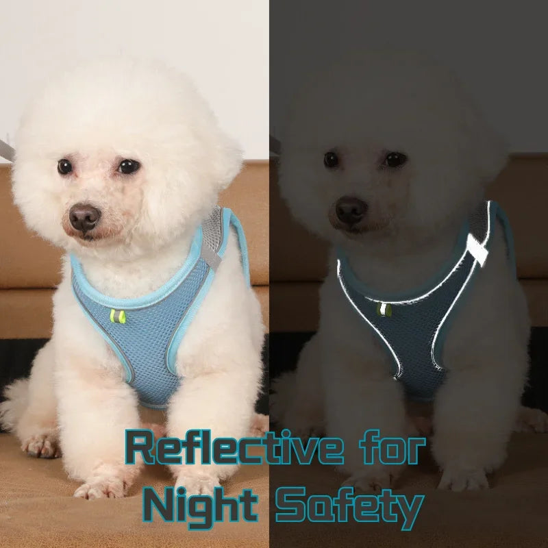 Cat Harness & Leash Set, Adjustable Escape-Proof Breathable Summer Mesh Vest, Outdoor Walking Kitten, Night Reflective