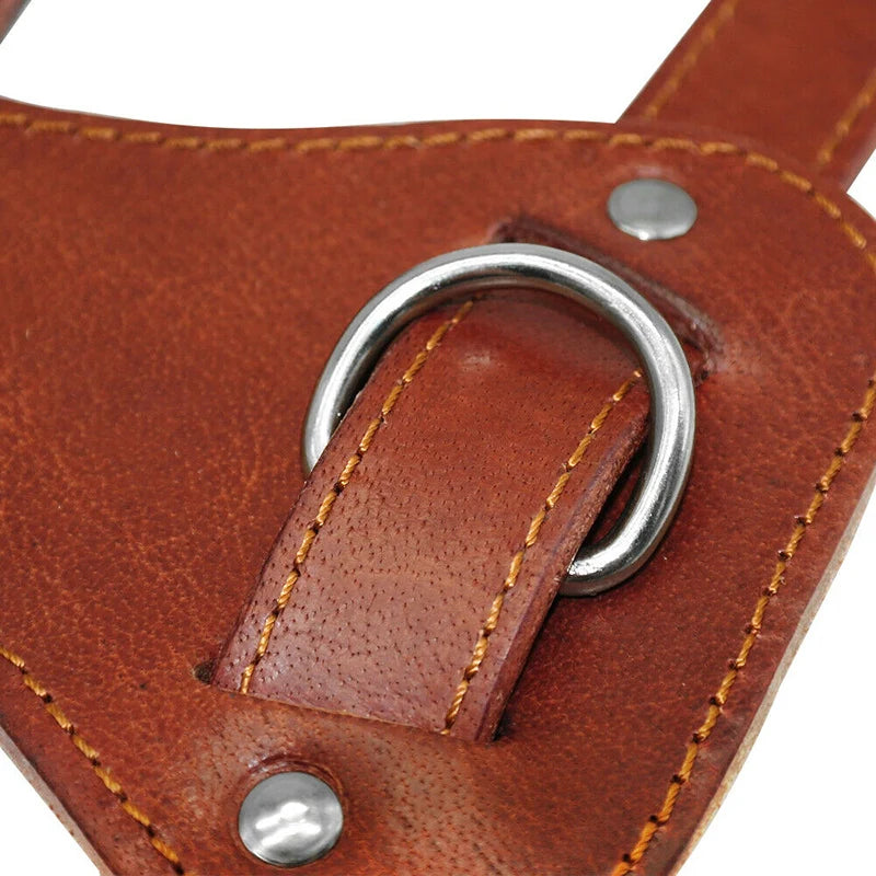 Genuine Leather Dog Cat Harness Brown Real Leather Dogs Walking Training Vest Adjustable Straps Durable Harnesses for Dogs