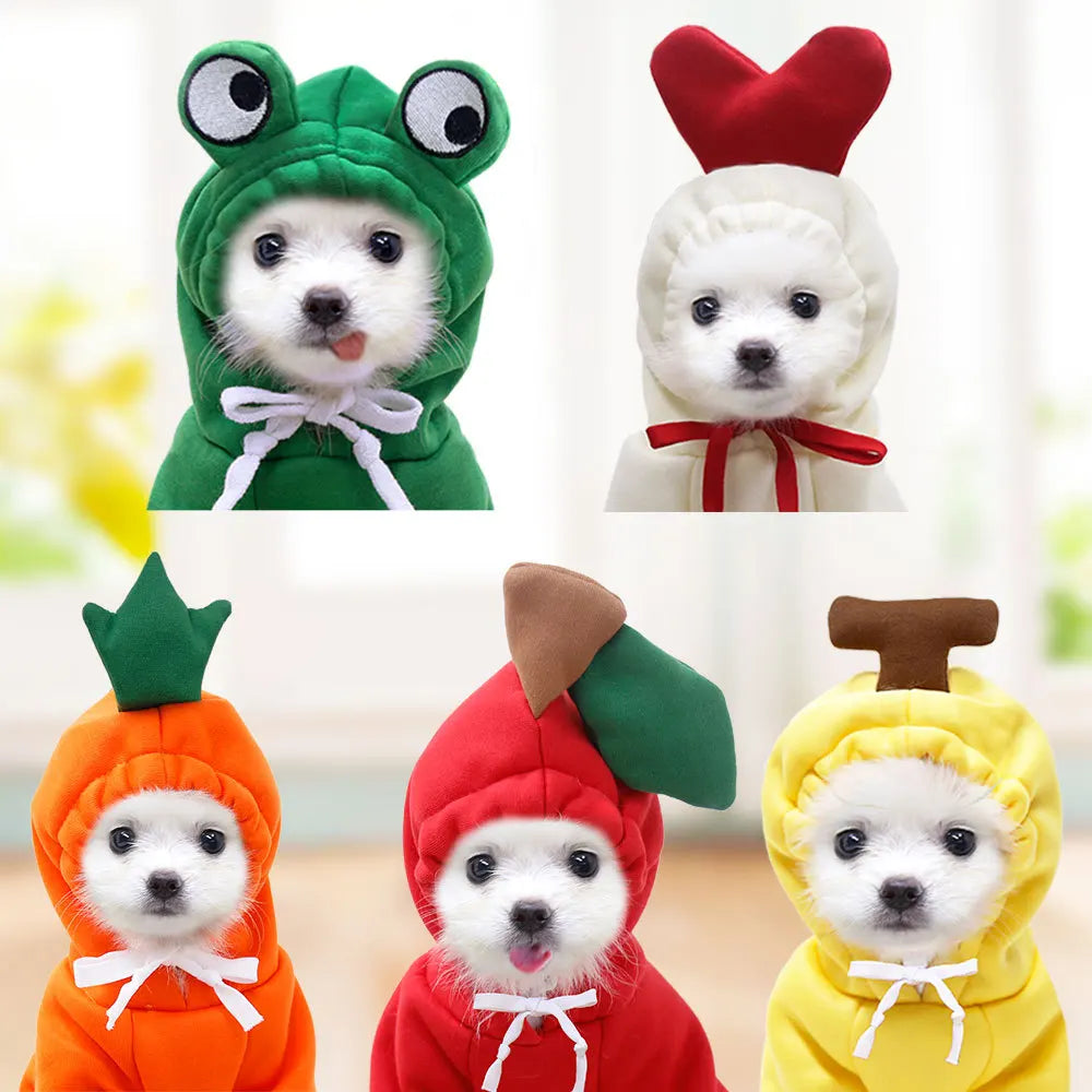 Cute Cartoon Fruit Frog Banana Carrot Pet Hoodie, Winter Warm Fleece Dog Clothes, Funny Cosplay Costume for Small Puppy Cat, Outfit for Chihuahua French Bulldog