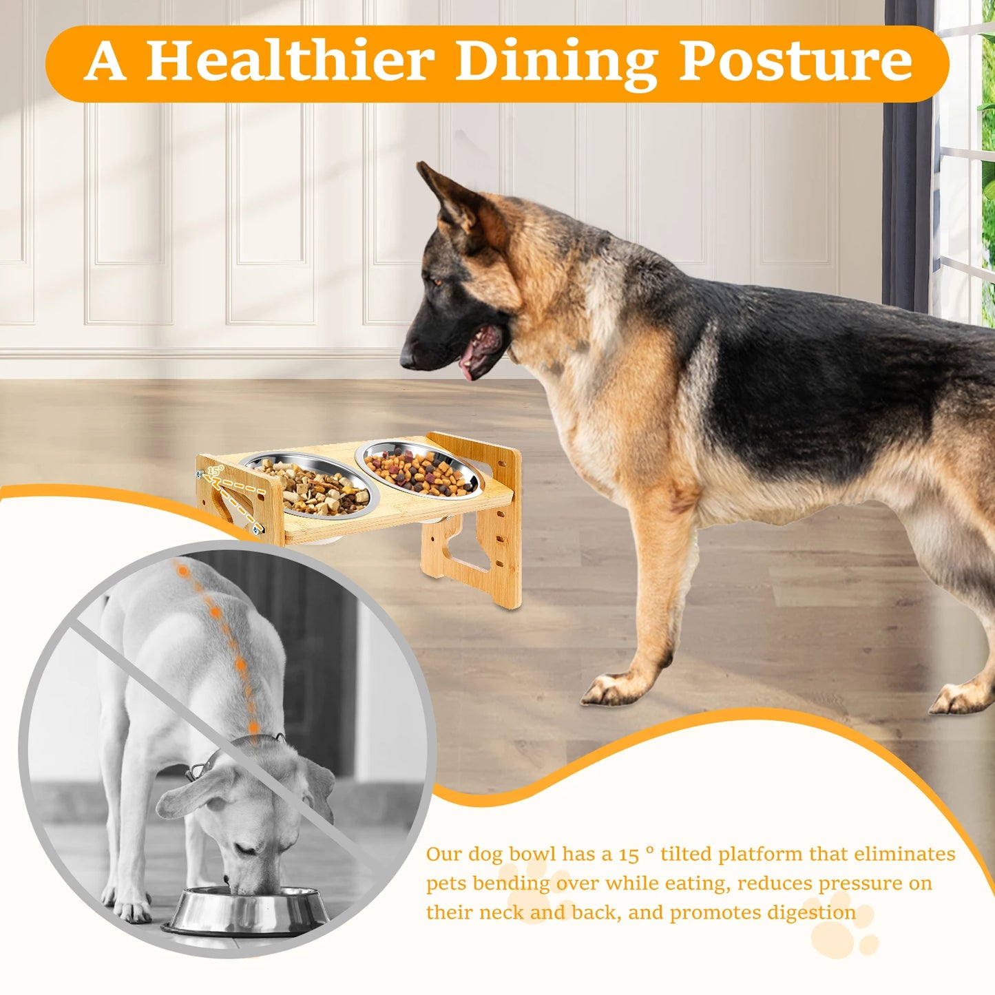 Wooden Elevated Cat Dog feeder Bowl Stand with 2 Stainless Steel Feeder bowl for Dry Wet Food Water Anti Slip Pet Supplies