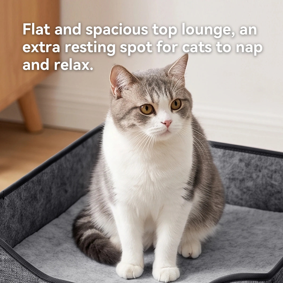Simple 2-Layer Foldable Cat Bed, Cat Room, Kitten's Home, Indoor Cat Bed, Large Cat Cave With Fluffy Ball Toys And Cat Scratching Post, Kitten's Hidden Apartment, Pet Sofa.