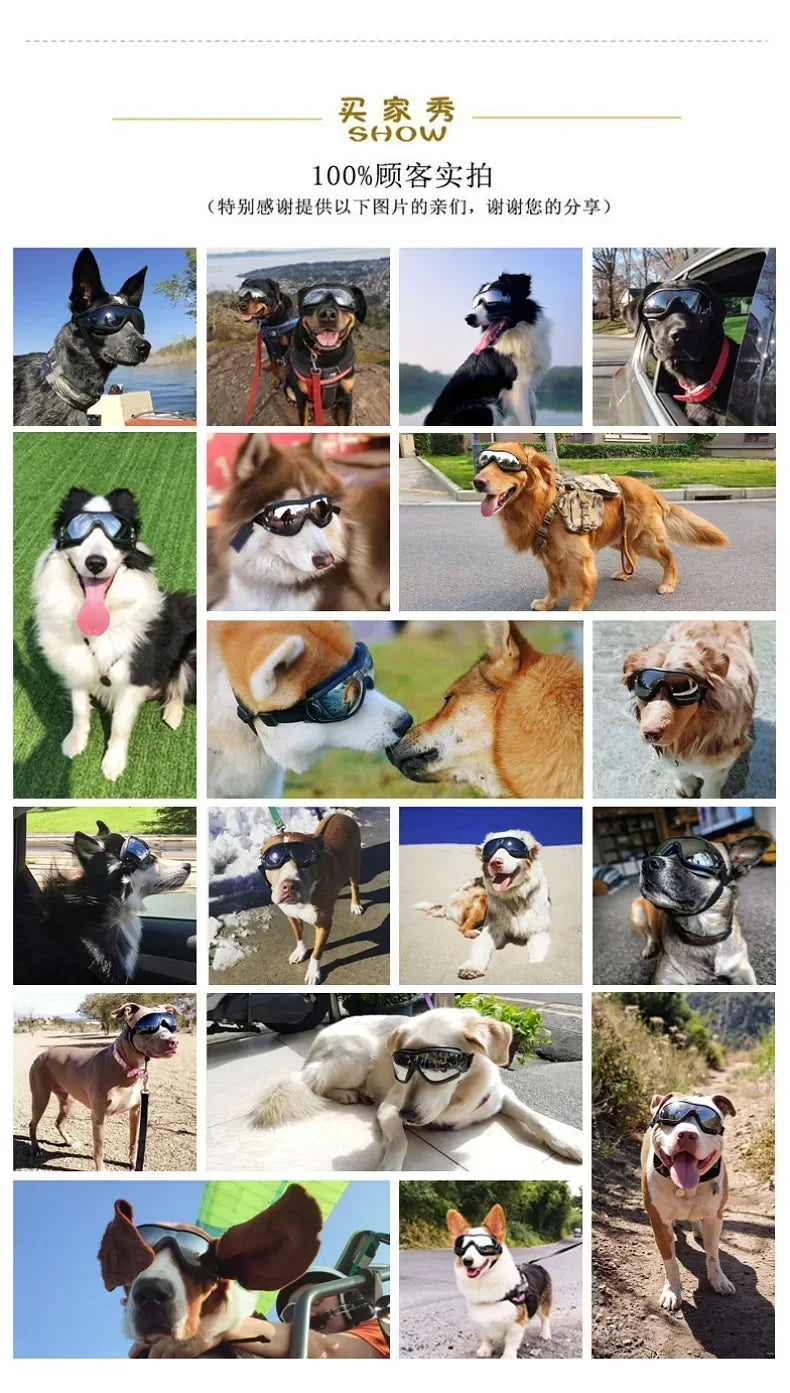 IN Stock Anti-UV Dog Sunglasses Breathable Vent Pet Goggles Windproof Waterproof for Car Riding Beach Outdoor Dogs S M L Sizes