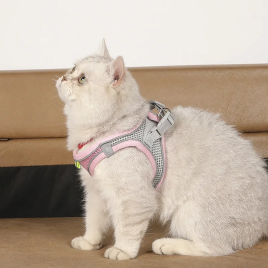 Cat Harness & Leash Set, Adjustable Escape-Proof Breathable Summer Mesh Vest, Outdoor Walking Kitten, Night Reflective