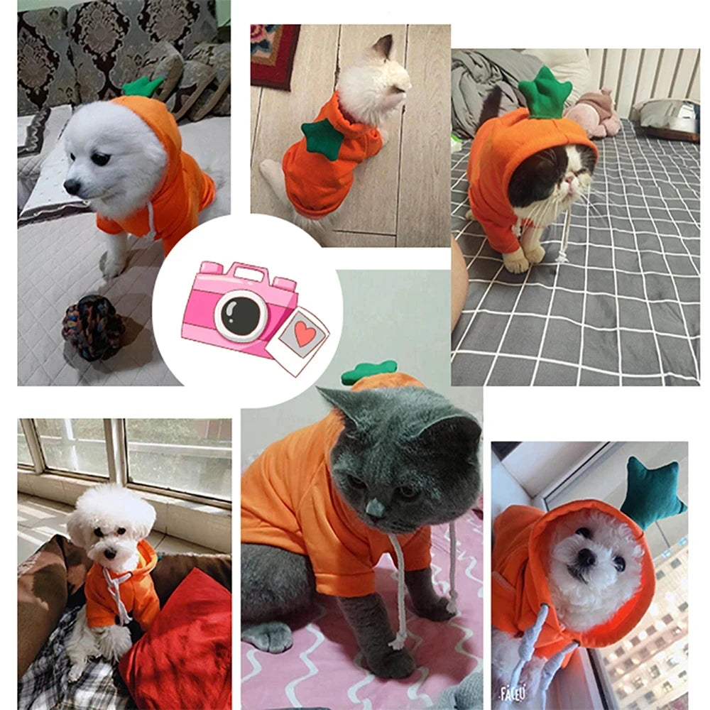 Cute Cartoon Fruit Frog Banana Carrot Pet Hoodie, Winter Warm Fleece Dog Clothes, Funny Cosplay Costume for Small Puppy Cat, Outfit for Chihuahua French Bulldog