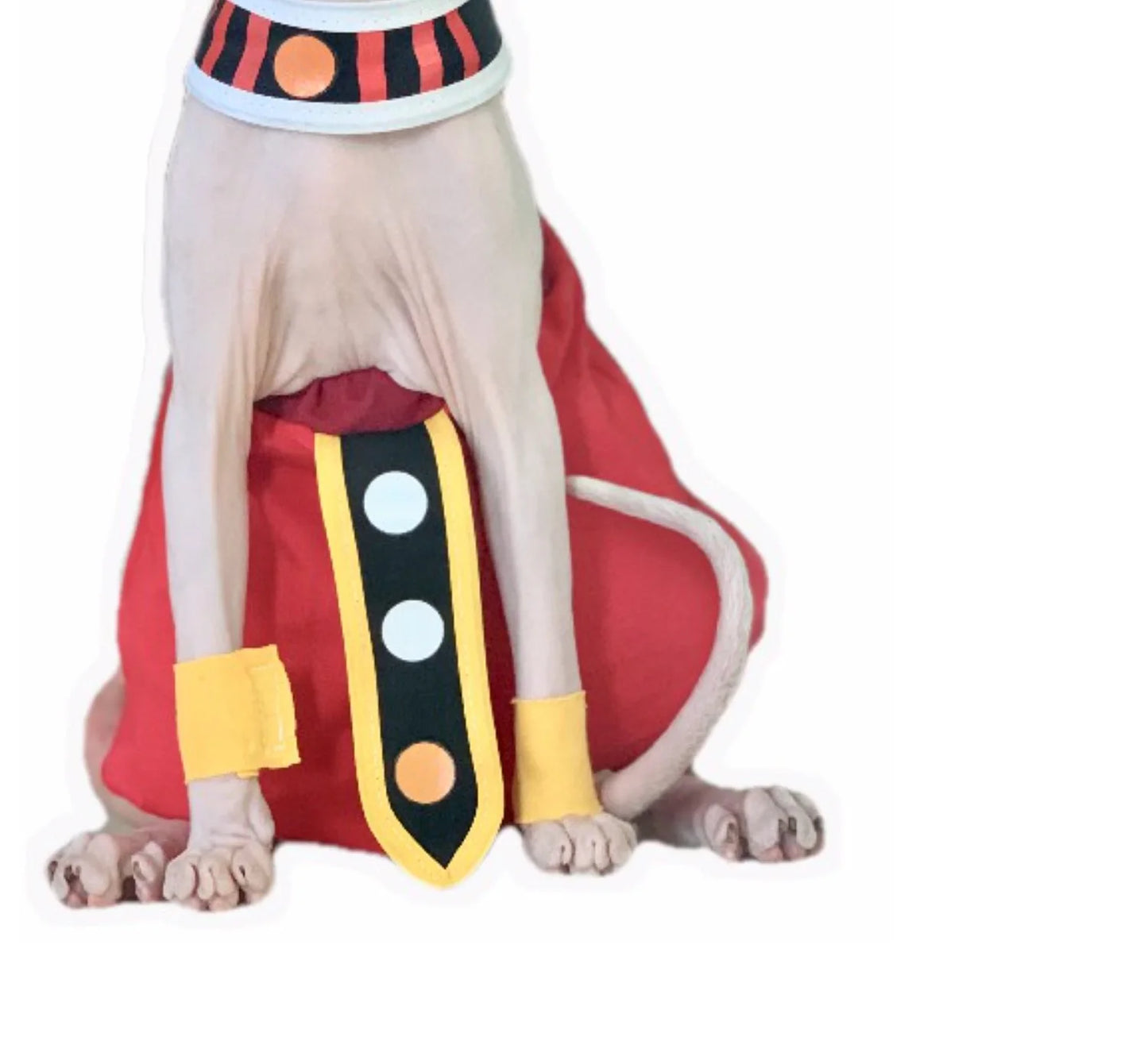 Handmade Sphinx Cosplay Costumes Hairless Cat Clothes God of Destruction Crotch-Proof Trousers Dropshipping Cat Clothes
