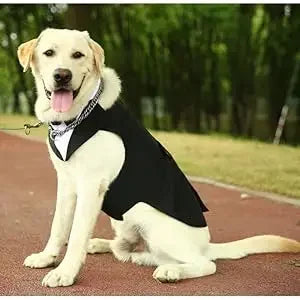 Dog costume large dog tuxedo with detachable,dog wedding costume suitable for large and medium dogs,golden retrievers, labradors