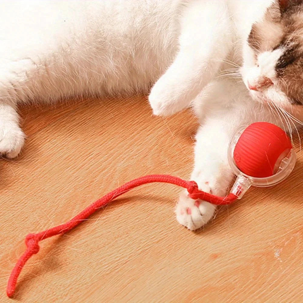 【In Stock】Self Moving Smart Cat Toy Ball 3 Speed Adjustable LED Interactive Play Ball with Durable Rope Tail for Indoor Cats