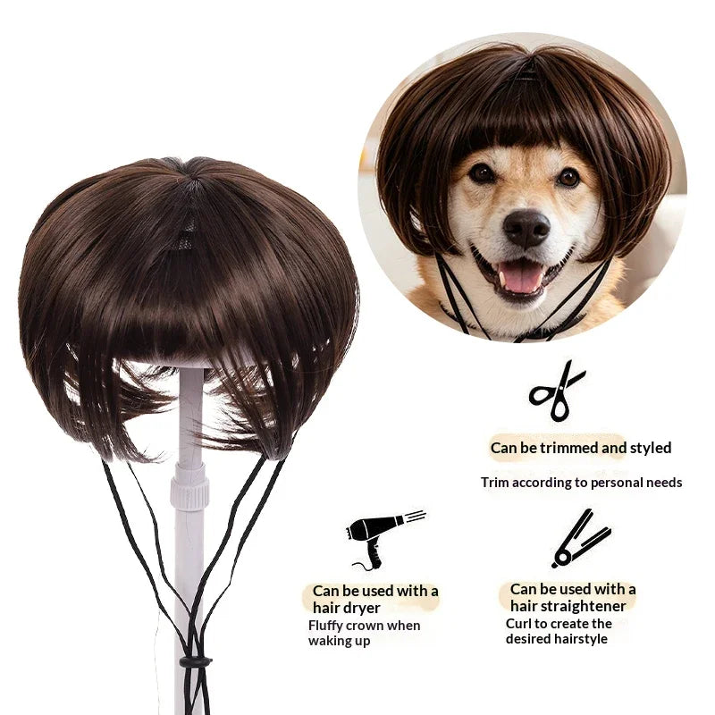 Dog Cat Clown Wig, Funny Pet Cosplay Wig with Adjustable Straps, Synthetic Short Bob Hairpiece for Halloween Party
