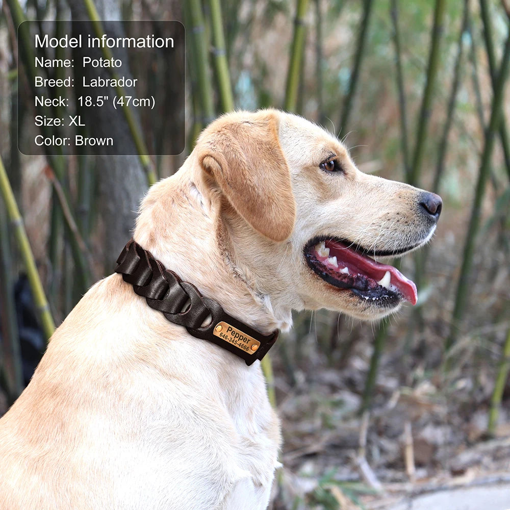 Genuine Leather Dog Collar Custom Leather Medium Large Dog Collars Personalized Pet ID Collars for Dogs Pitbull Engrave Name