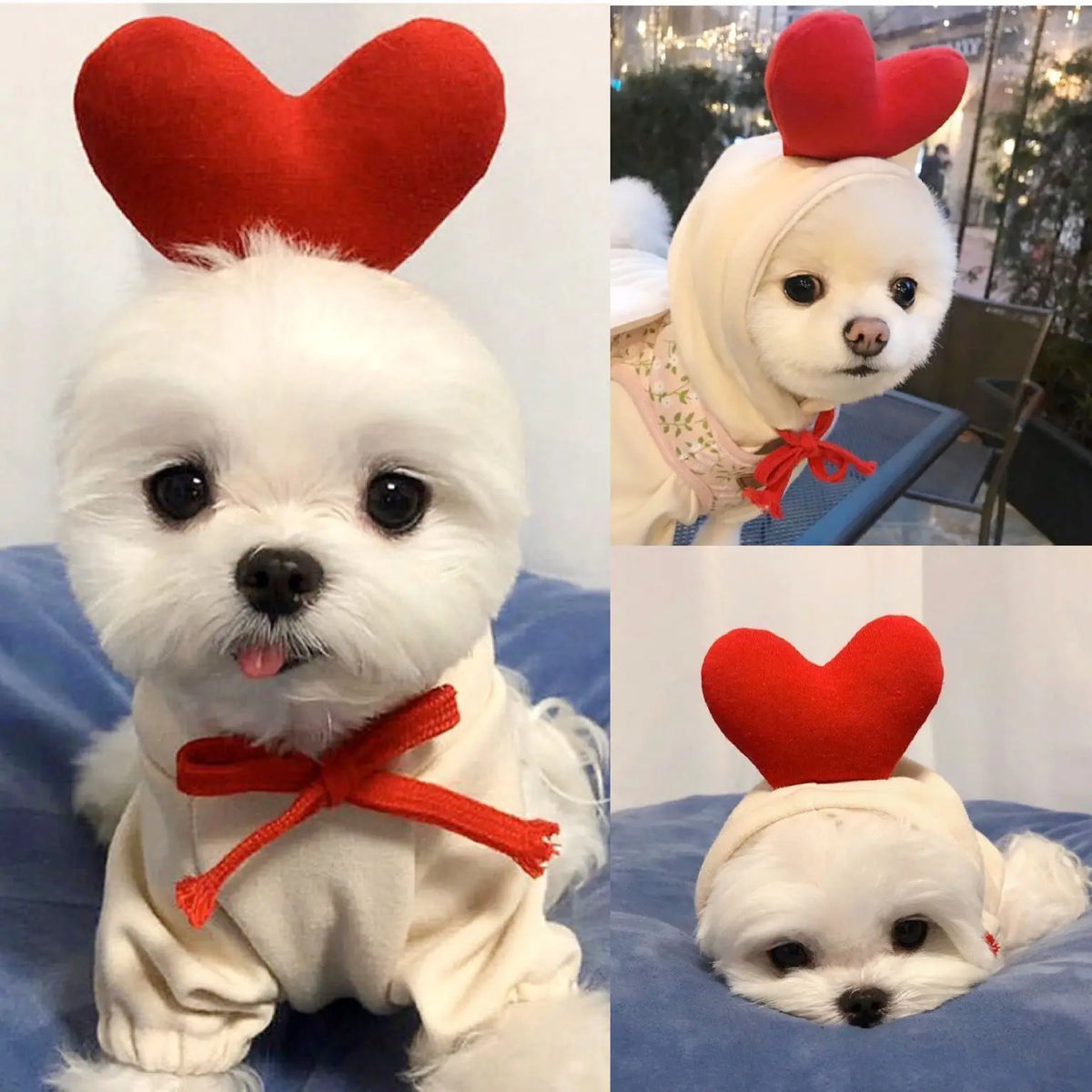 Cute Cartoon Fruit Frog Banana Carrot Pet Hoodie, Winter Warm Fleece Dog Clothes, Funny Cosplay Costume for Small Puppy Cat, Outfit for Chihuahua French Bulldog