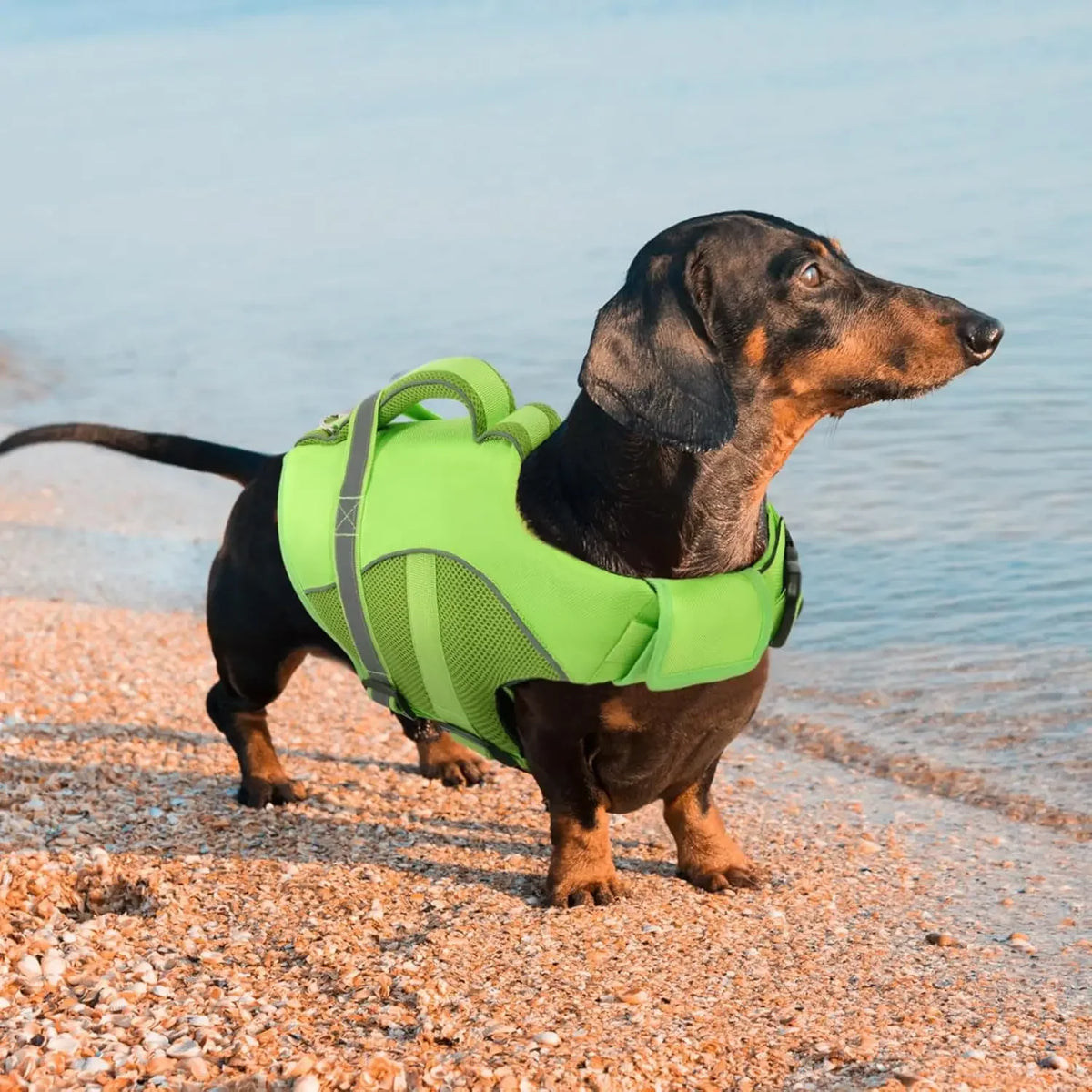 Durable Mesh Dog Life Jacket With Ergonomic Rescue Handle Tear‑Resistant Construction For Rough Water Use