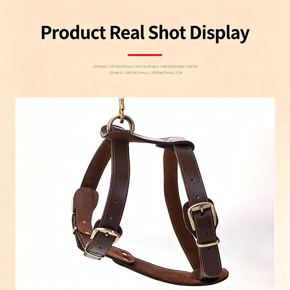 Top Cowhide Leather Dog Harness Adjustable Heavy Duty Pet Walking Harness No Pull Handcrafted Sturdy Vest for Medium Large Dogs
